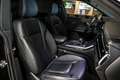 Audi Q8 55 TFSI quattro Pro Line Plus|Pano|Verkoeling|head Noir - thumbnail 15