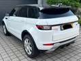 Land Rover Range Rover Evoque Range Rover Evoque TD4 Aut. SE Dynamic Blanc - thumbnail 2