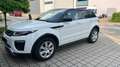 Land Rover Range Rover Evoque Range Rover Evoque TD4 Aut. SE Dynamic Blanc - thumbnail 1