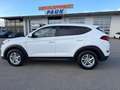 Hyundai TUCSON Tucson 1,7 CRDI Comfort Weiß - thumbnail 7