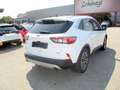Ford Kuga 2,5 PHEV Titanium X Aut. Weiß - thumbnail 3
