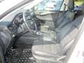 Ford Kuga 2,5 PHEV Titanium X Aut. Weiß - thumbnail 6