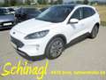 Ford Kuga 2,5 PHEV Titanium X Aut. Weiß - thumbnail 1