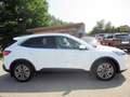 Ford Kuga 2,5 PHEV Titanium X Aut. Weiß - thumbnail 2