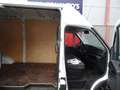 Iveco Daily 35S15V 2.3 352 H2 L 32zits airco 3500kg ahk Weiß - thumbnail 25
