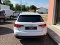 Audi A4 A4 Avant 2.0 tdi Business 150cv s-tronic my16 Plateado - thumbnail 5