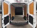 Ford Transit Transit Kasten 2,2 TDCi L3H2 310 Trend Pickerl NEU Weiß - thumbnail 10