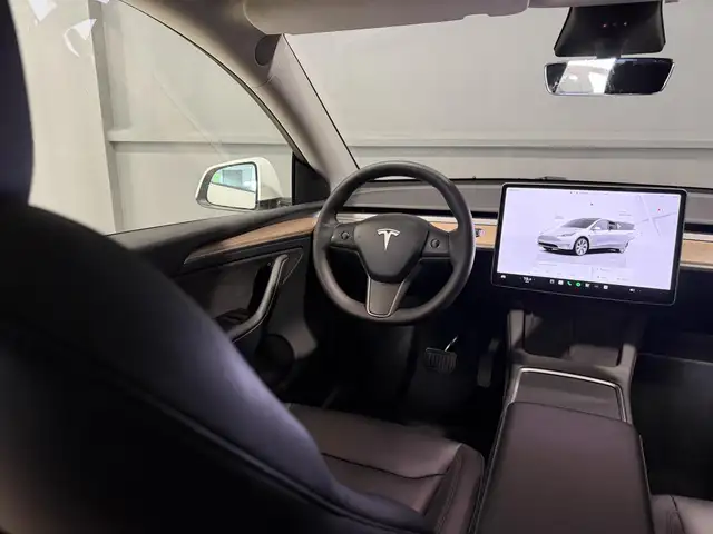 Tesla Model Y view 6