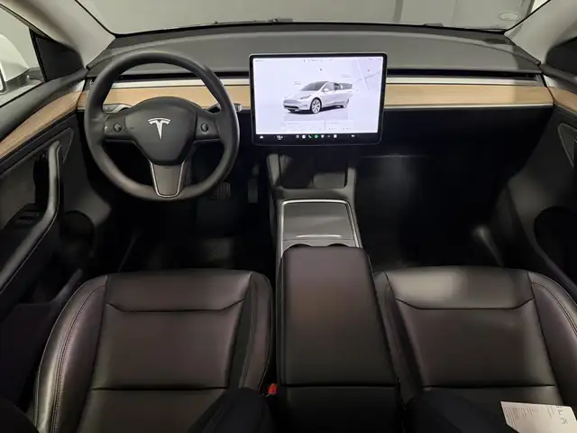Tesla Model Y view 12