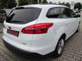 Ford Focus Turnier Trend Weiß - thumbnail 6