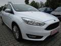 Ford Focus Turnier Trend Weiß - thumbnail 8