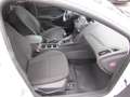 Ford Focus Turnier Trend Weiß - thumbnail 13