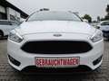 Ford Focus Turnier Trend Weiß - thumbnail 9
