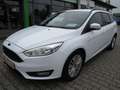 Ford Focus Turnier Trend Weiß - thumbnail 1