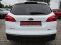 Ford Focus Turnier Trend Weiß - thumbnail 4