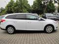 Ford Focus Turnier Trend Weiß - thumbnail 7