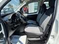 Fiat Qubo 1.4 Benzina 77cv my19 Lounge*km 21.123*AUTOVETTURA Weiß - thumbnail 7