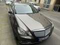 Mercedes-Benz E 350 T CDI DPF BlueEFFICIENCY 7G-TRONIC Elegance - thumbnail 13