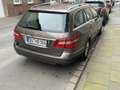Mercedes-Benz E 350 T CDI DPF BlueEFFICIENCY 7G-TRONIC Elegance - thumbnail 12
