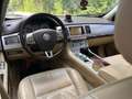 Jaguar XF 3.0 V6 Diesel Luxury Automatik euro5 Blau - thumbnail 23