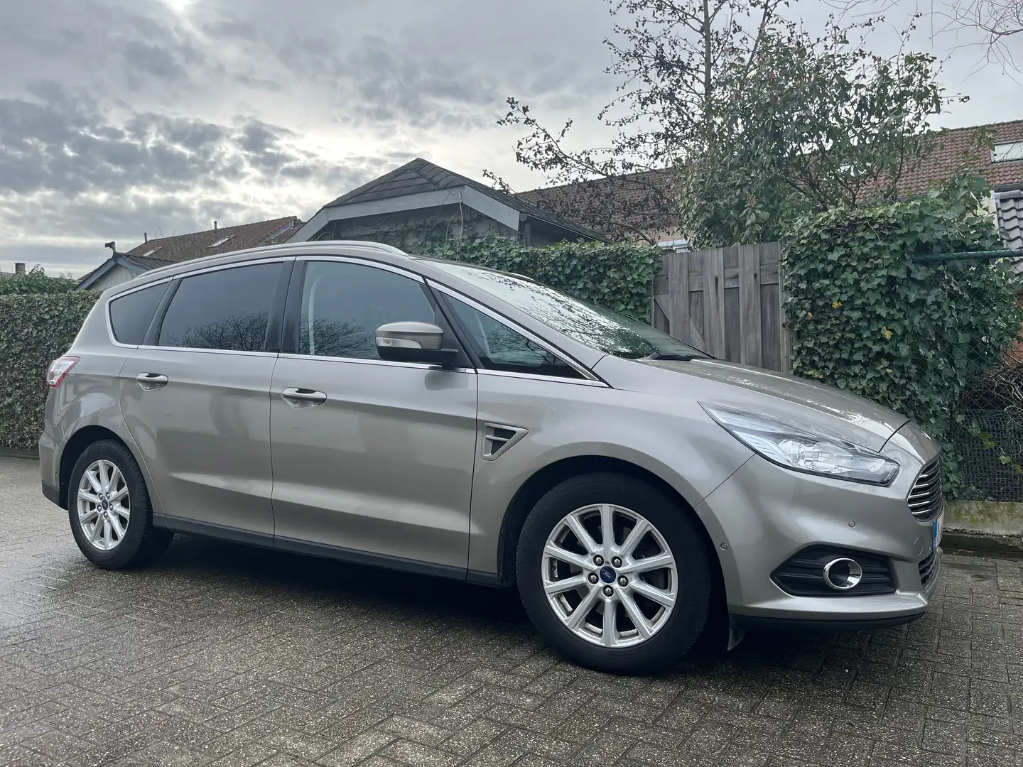 Ford S-Max S-Max 2.0 TDCi Aut. Trend Beżowy - 1