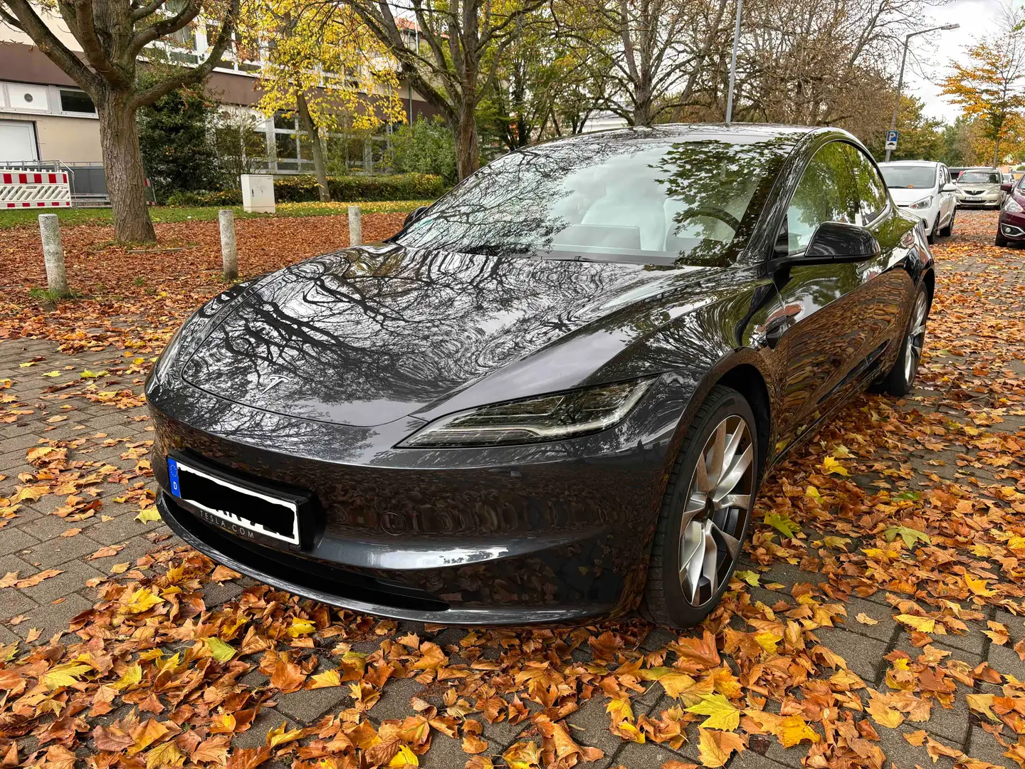 Tesla Model 3 Model 3 RWD Hinterradantrieb Grau - 1