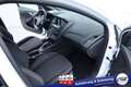 Ford Focus Turnier ST-Line #Bi-Xenon #CD #Winter-P. #Park-... Blanc - thumbnail 13