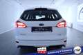 Ford Focus Turnier ST-Line #Bi-Xenon #CD #Winter-P. #Park-... Alb - thumbnail 25