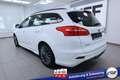 Ford Focus Turnier ST-Line #Bi-Xenon #CD #Winter-P. #Park-... Alb - thumbnail 9