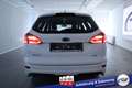 Ford Focus Turnier ST-Line #Bi-Xenon #CD #Winter-P. #Park-... Blanc - thumbnail 26