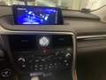 Lexus RX 450h (hybrid) Luxury  Panoramic - thumbnail 19