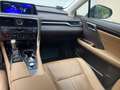 Lexus RX 450h (hybrid) Luxury  Panoramic - thumbnail 14