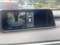 Lexus RX 450h (hybrid) Luxury  Panoramic - thumbnail 16