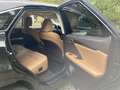 Lexus RX 450h (hybrid) Luxury  Panoramic - thumbnail 11