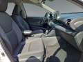 Toyota Yaris 1.5l Hybrid Teamplayer LED*CarPlay*RFK*SHZ Wit - thumbnail 16
