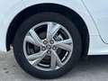 Toyota Yaris 120H 1.5 Active Plus Blanco - thumbnail 16