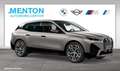 BMW iX xDrive40 Sportpaket/SkyLounge/Laserlicht/AHK Grau - thumbnail 8