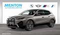 BMW iX xDrive40 Sportpaket/SkyLounge/Laserlicht/AHK Grau - thumbnail 1