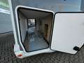 Challenger 328 Etape Ed. inkl. Arctic, Mod.25, ab 389,00mtl - thumbnail 18