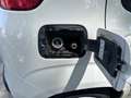 Fiat Panda 1.2 Gasolina/GLP Lounge Blanc - thumbnail 4