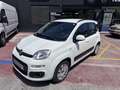 Fiat Panda 1.2 Gasolina/GLP Lounge Blanc - thumbnail 1