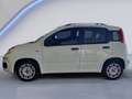 Fiat Panda 1.2 Easy 69 CV NEOPATENTATO Bianco - thumbnail 5