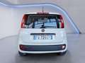 Fiat Panda 1.2 Easy 69 CV NEOPATENTATO Bianco - thumbnail 3