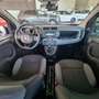Fiat Panda 1.2 Easy 69 CV NEOPATENTATO Bianco - thumbnail 9