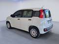 Fiat Panda 1.2 Easy 69 CV NEOPATENTATO Bianco - thumbnail 4