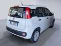 Fiat Panda 1.2 Easy 69 CV NEOPATENTATO Bianco - thumbnail 7