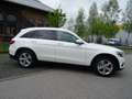 Mercedes-Benz GLC 220 d 4Matic GLC -Klasse (BM 253)-2.Hand- Weiß - thumbnail 16