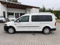 Volkswagen Caddy Maxi Trendline BMT 2.0 TDI DSG mit Rollstuhl Rampe Weiß - thumbnail 17