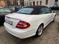 Mercedes-Benz CLK 500 AMG 1-Hand Bose Leder Scheckheft Alb - thumbnail 4