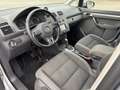 Volkswagen Touran Comfortline BMT*Export Fahrzeug* Grau - thumbnail 6